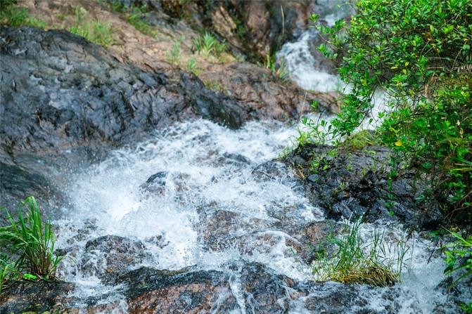 优雅跟岁月无关:86岁莫尼列白发苍苍,挽着69岁不婚儿子,很满足
